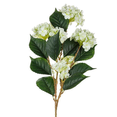 Soft Touch Green Hydrangea Tall Bush | Putti fine Furnishings