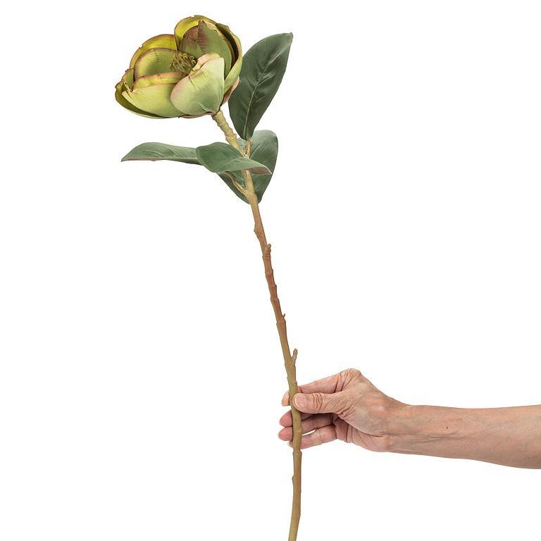 Green Magnolia Bloom | Putti Fine Furnishings 