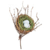 Egg Nest on Twigs