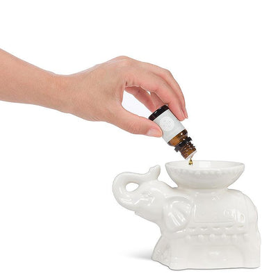 White Ornate Elephant Oil Warmer | Putti Fine Furnishings