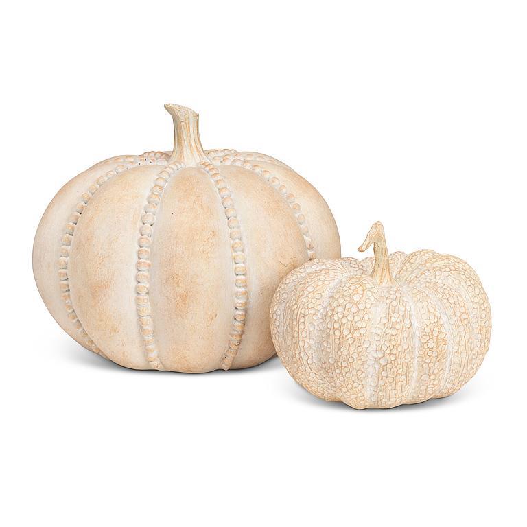Small Whitewash Pumpkin with Textured Pattern