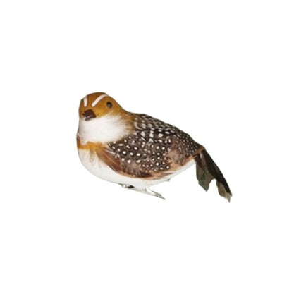 Feather Partridge with Clip | Putti Christmas Decorations