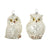 Owl Ornaments & Decorations