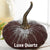 Small Velvet Pumpkin - Luxe Medallion