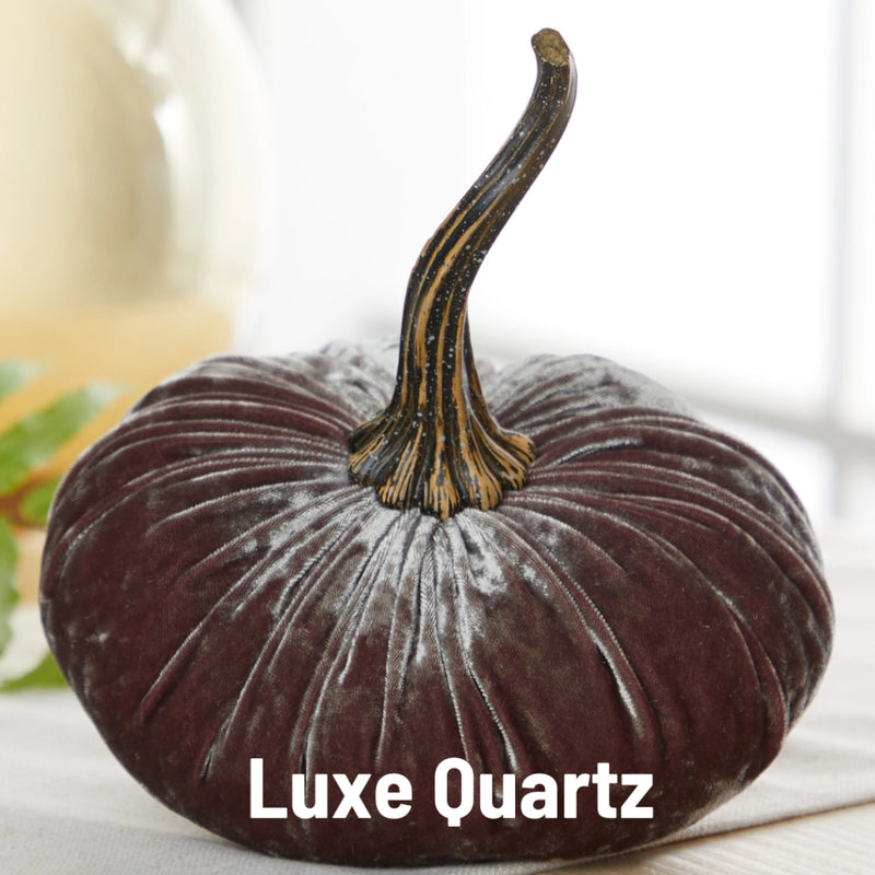 Small Velvet Pumpkin - Luxe Medallion