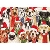 Deck the Dogs Deluxe Boxed Holiday Cards | Putti Christmas Celebrations