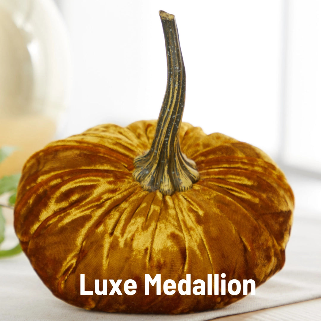 Large Velvet Pumpkin - Luxe Medallion