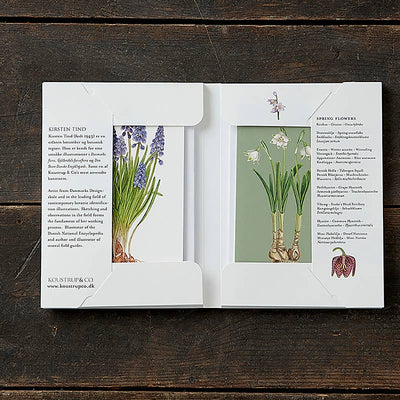 Spring Flowers Note Cards