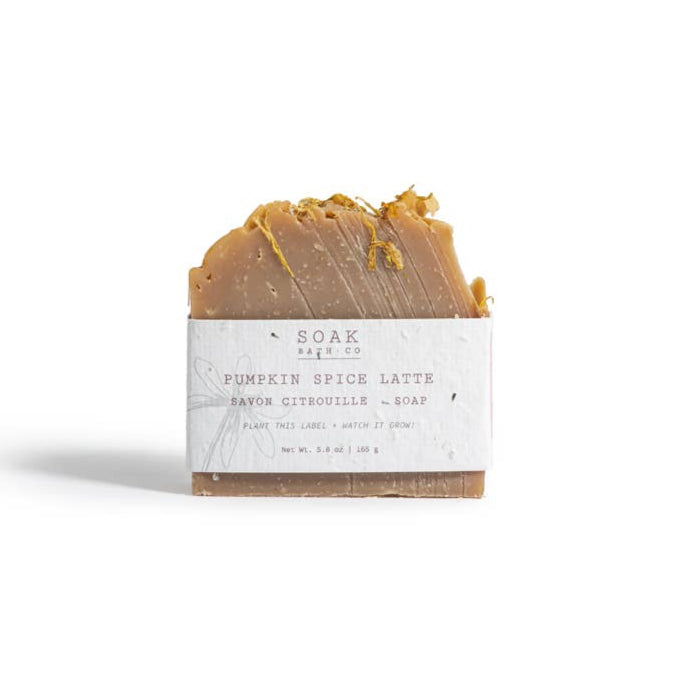 Soak Bath Co. Pumpkin Spice Latte Soap Bar