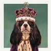 Lucia Heffernan King Charles with Crown Greeting Card