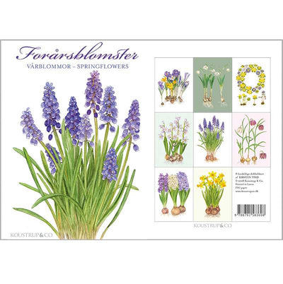 Spring Flowers Note Cards