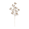 Champagne Gold Cranberry Pick | Putti Christmas Celebrations