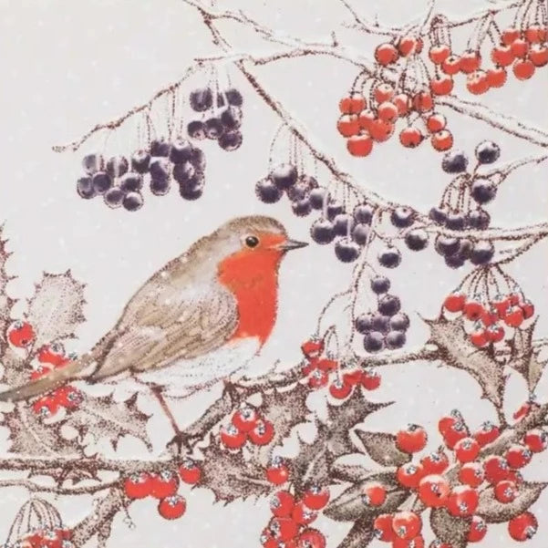 Red Robbin Greeting Card