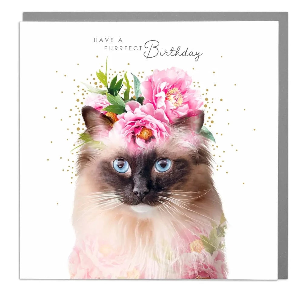 "Purrfect Birthday" Rag Doll Cat Greeting Card