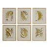 Gold Bamboo Fern Framed Prints - set of 6