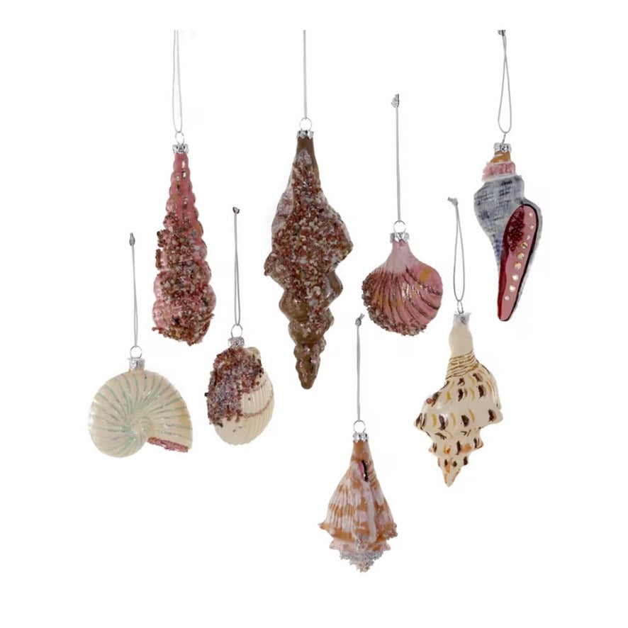 Cody Foster Beachcomber Glass Ornament  | Putti Christmas 