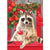 Red Handed Raccoon Boxed Christmas Cards