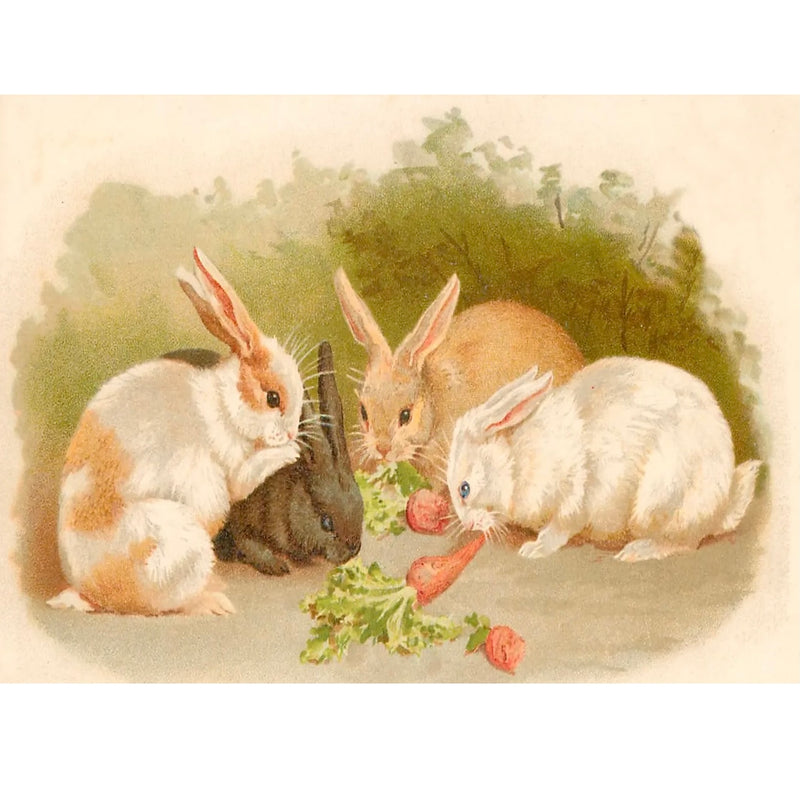 Bunnies Little Vintage Greeting Card