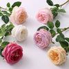 Real Touch English Austin Cabbage Rose Stem | Putti Fine Furnishings