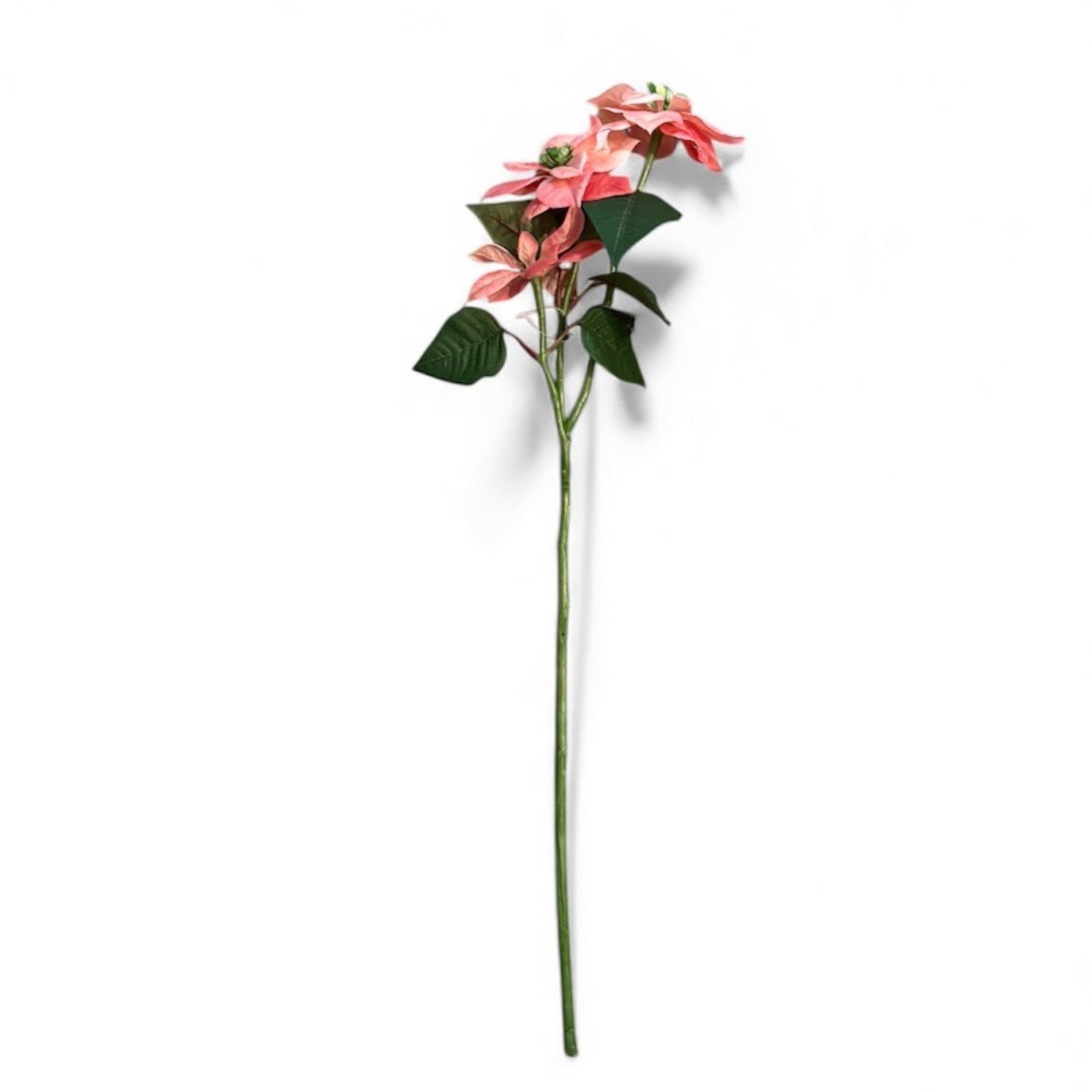 Multi Head Pink Poinsettia Stem
