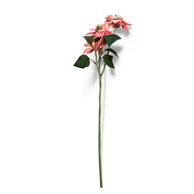 Multi Head Pink Poinsettia Stem
