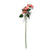 Multi Head Pink Poinsettia Stem