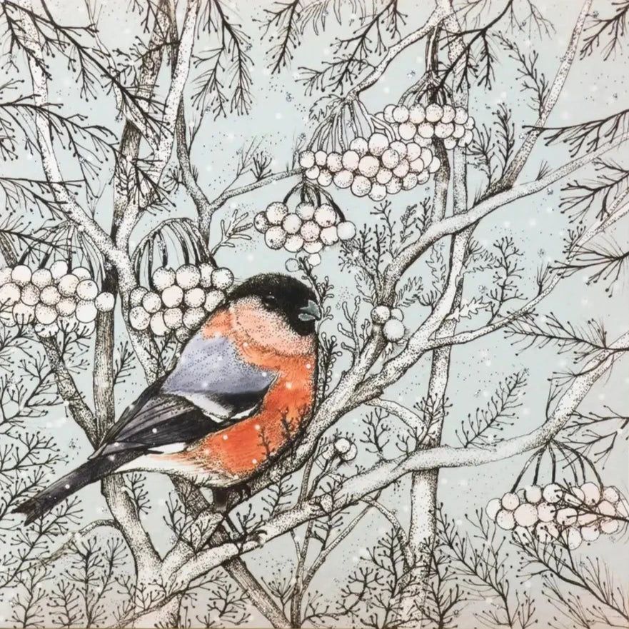 Bullfinch Greeting Card  | Putti Fine Furnishings Canada 