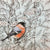 Bullfinch Greeting Card  | Putti Fine Furnishings Canada 
