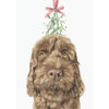 Chocolate Cockapoo with Mistletoe Christmas Greeting Card | Putti Christmas