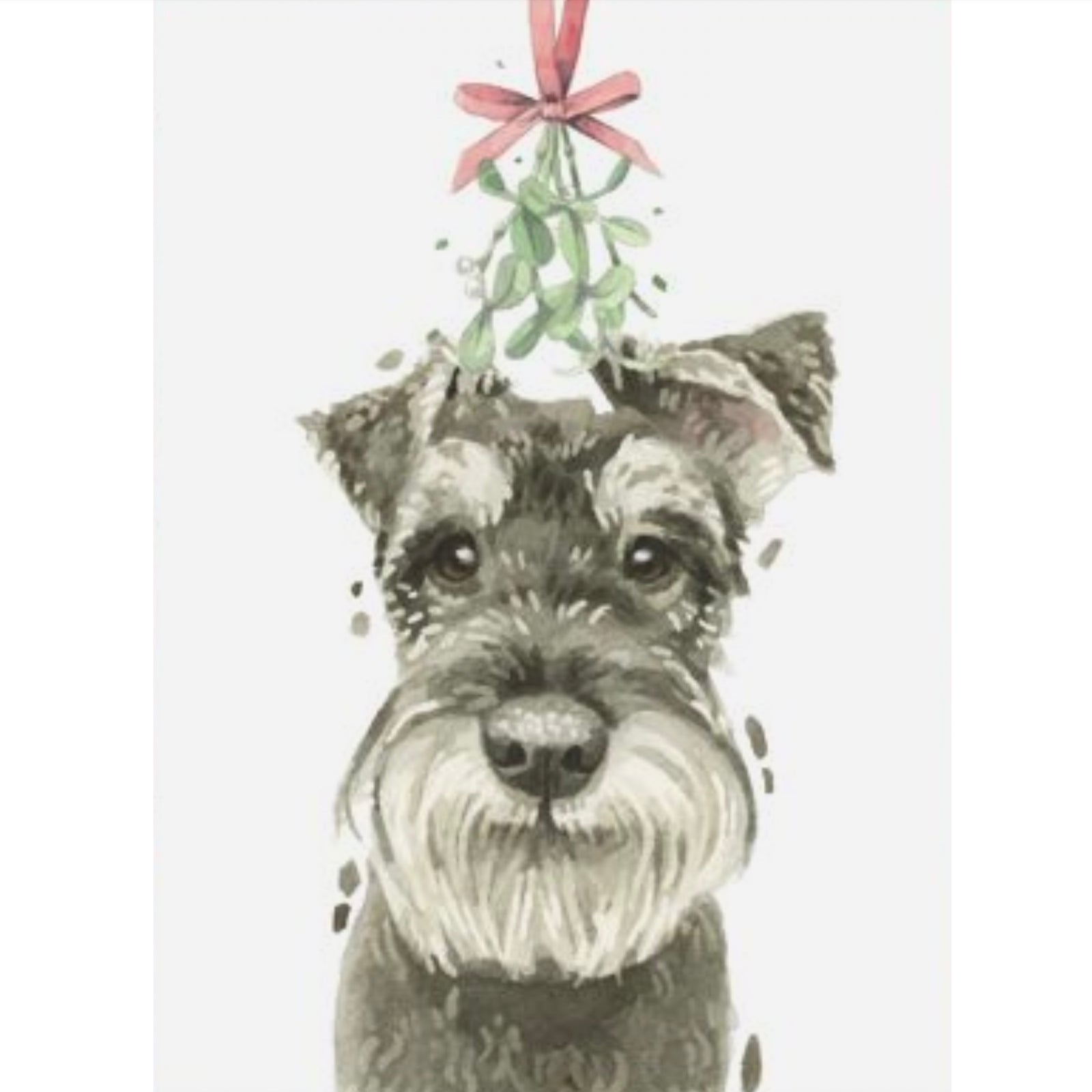 Schnauzer with Mistletoe Christmas Greeting Card | Putti Christmas 