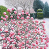 Susan Entwistle Winter Viburnum Greeting Card  | Putti Celebrations