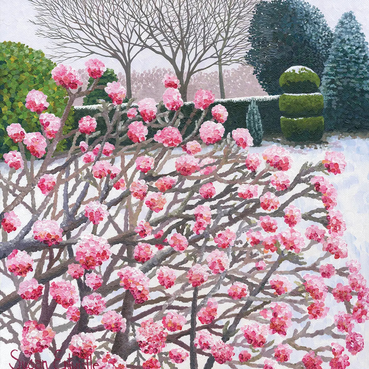Susan Entwistle Winter Viburnum Greeting Card  | Putti Celebrations 