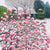 Susan Entwistle Winter Viburnum Greeting Card  | Putti Celebrations 