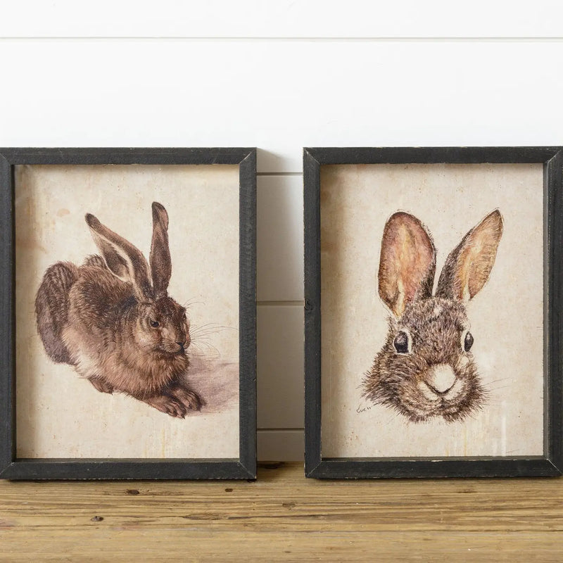Rabbit Framed Prints - set of 2