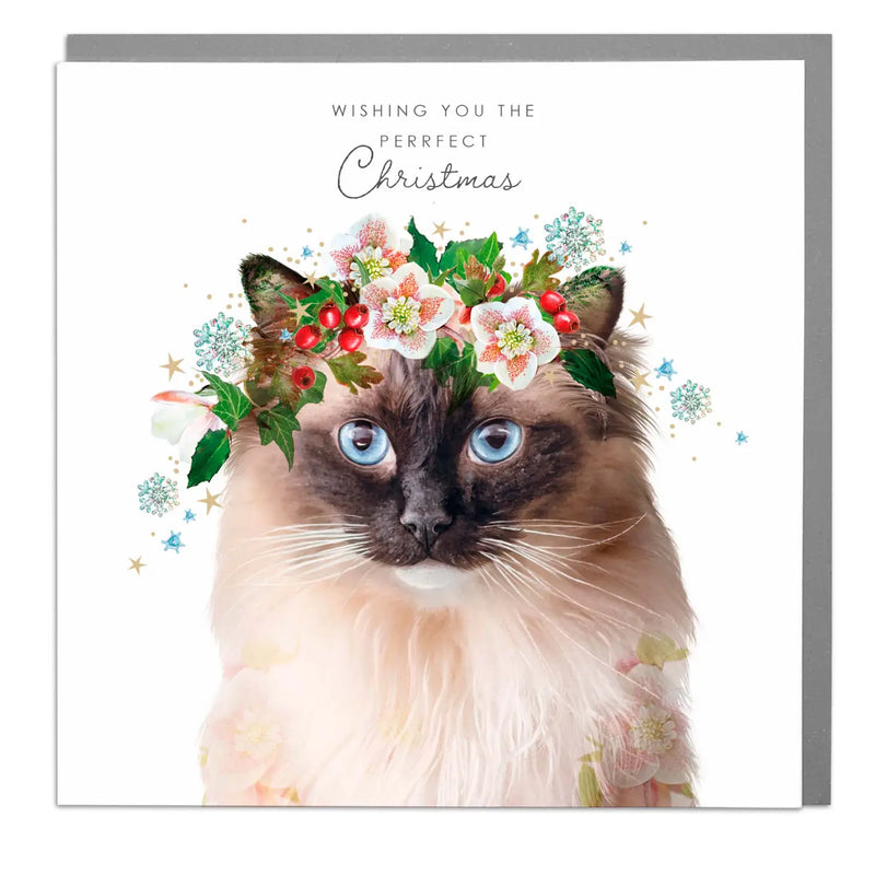 "Wishing you the Purrfect Happy Christmas" Rag Doll Cat Greeting Card