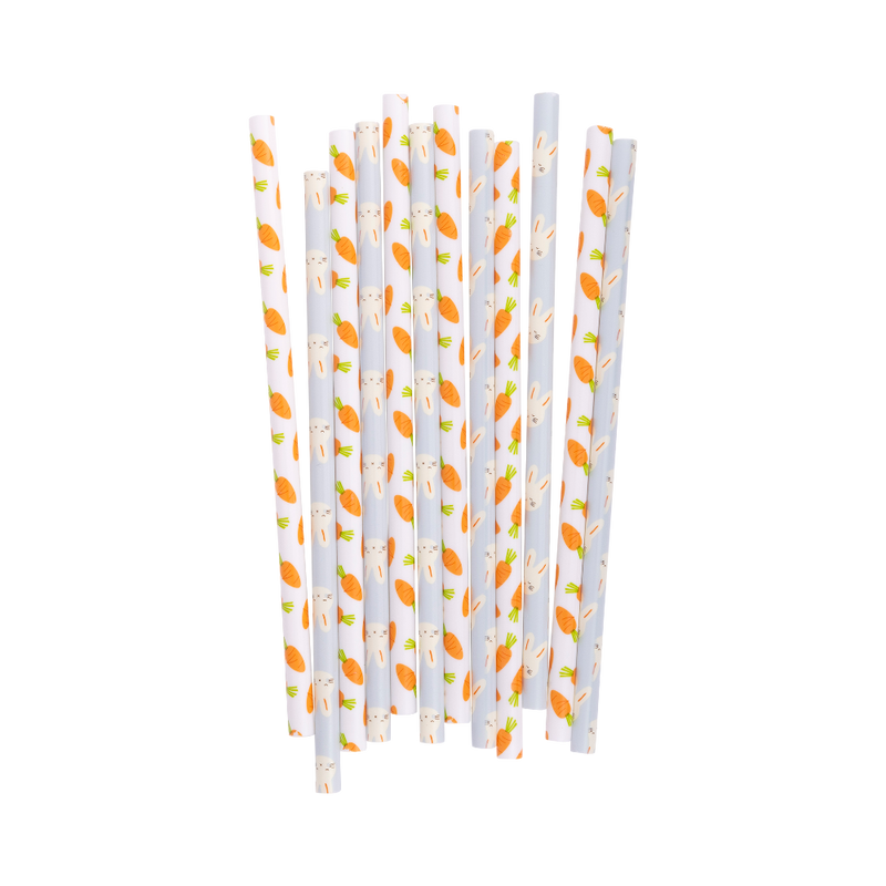 Bunny and Carrot Reusable Straws | Putti Easter Celebrations 