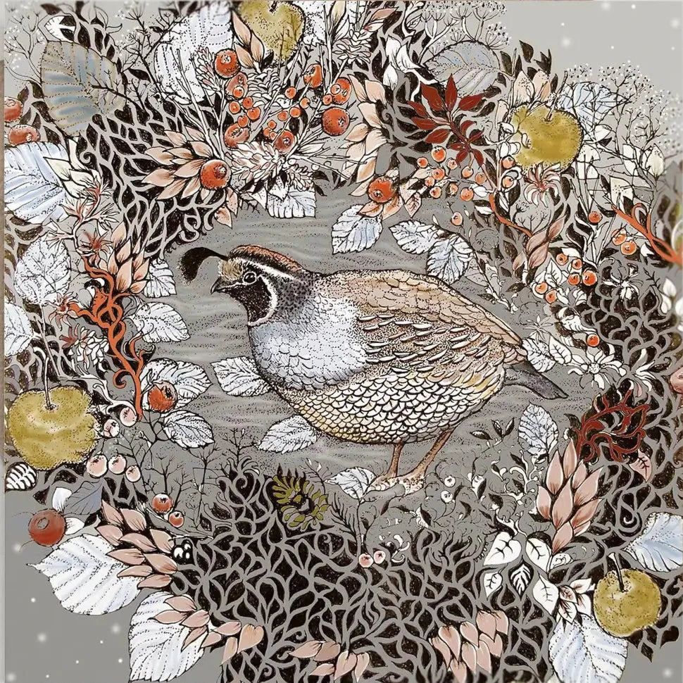 Quail Greeting Card | Putti Fine Furnishings 
