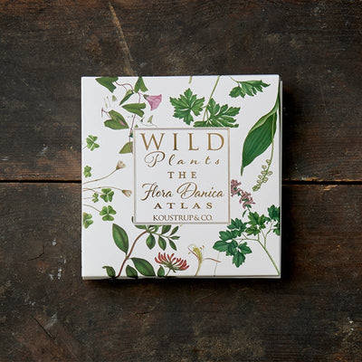 Wild Plants Note Cards