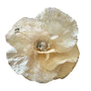 Ivory Jewelled Poppy with Clip