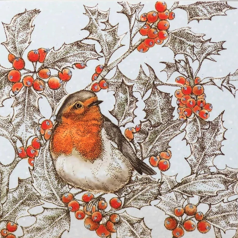 Robin & Holly Greeting Card