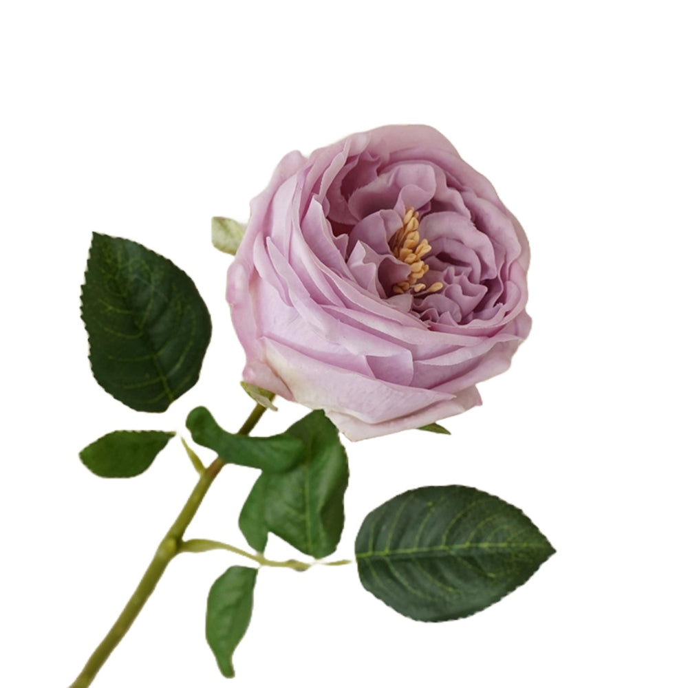 Real Touch English Austin Cabbage Rose Stem - Mauve Lavender | Putti Fine Furnishings 