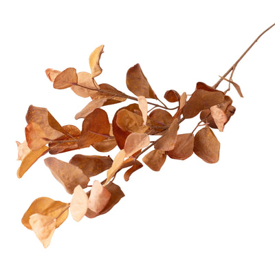 Eucalyptus Leaves Spray | Putti Autumn Thanksgiving Decor