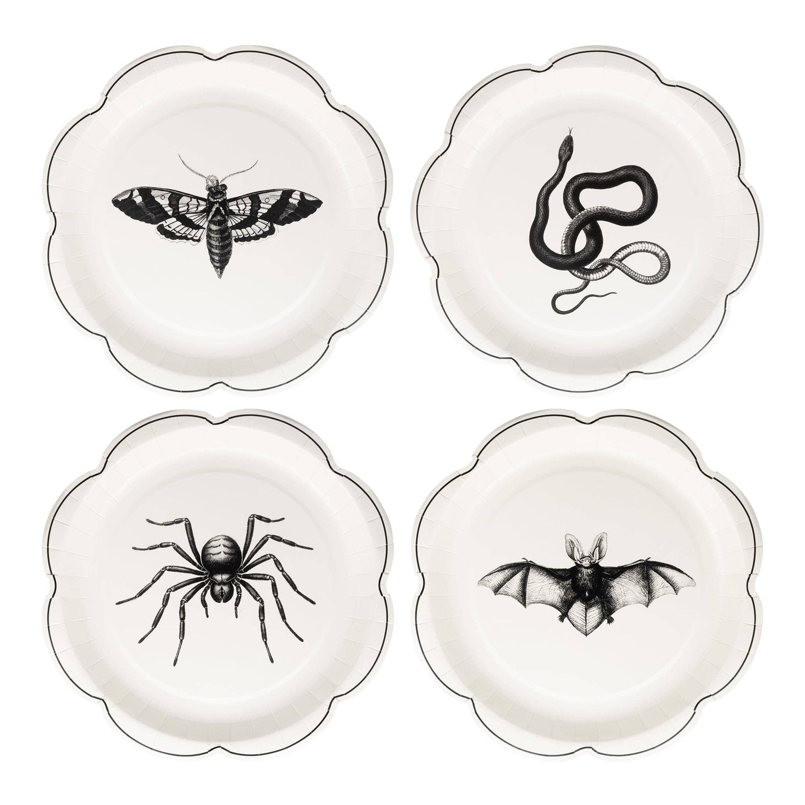 Apothecary Paper Plate Set