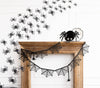 Tiny Spider Paper Plate