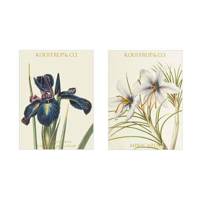 Spring Mini Note Cards