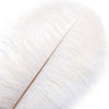 Off White Ostrich Feather