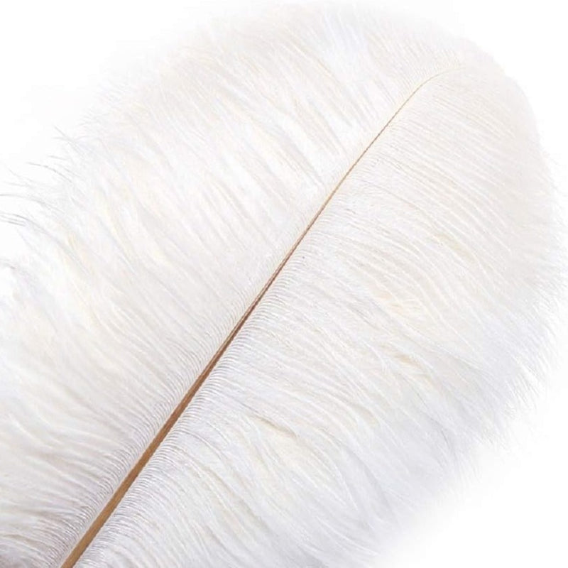 White Ostrich Feather | Putti Christmas Decorations 