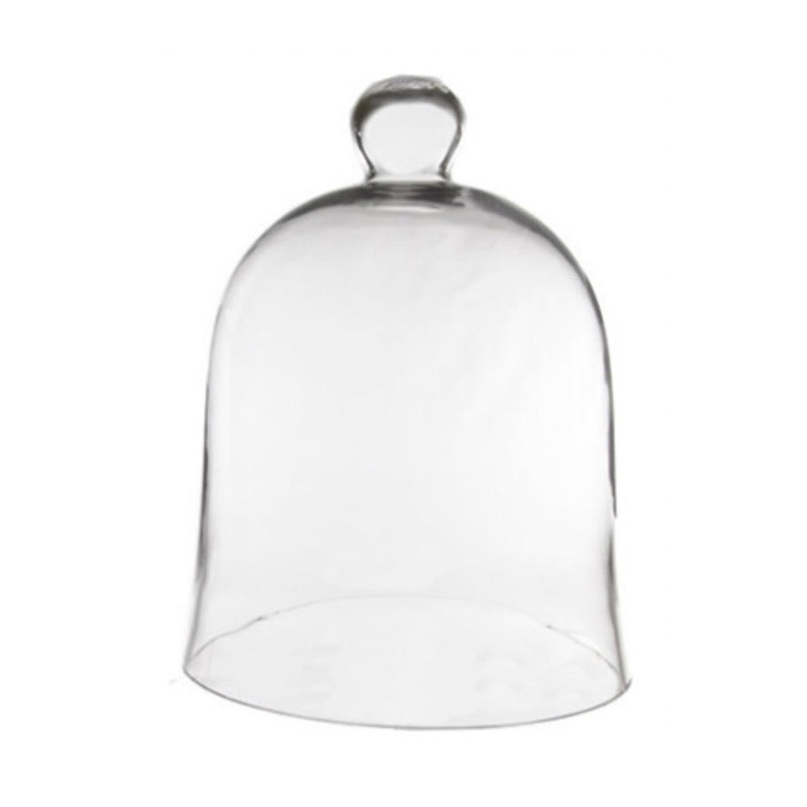 Glass Cloche