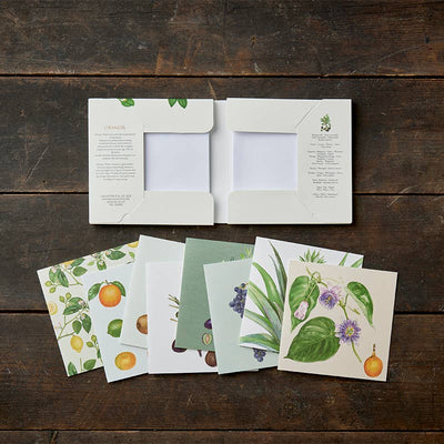 Conservatory Note Cards