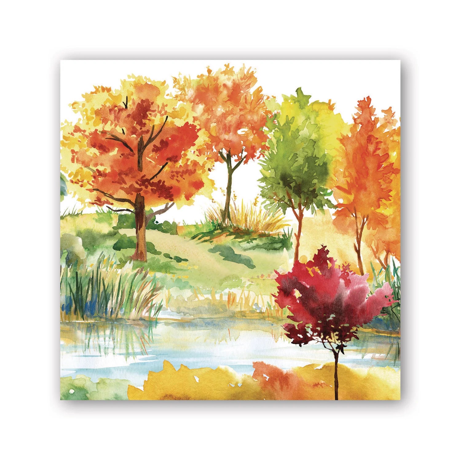 Orchard Breeze Paper Napkin - Lunch